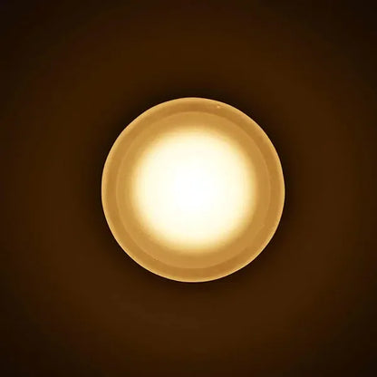 Verthara Premium Round LED Indoor-Outdoor Wall Sconce