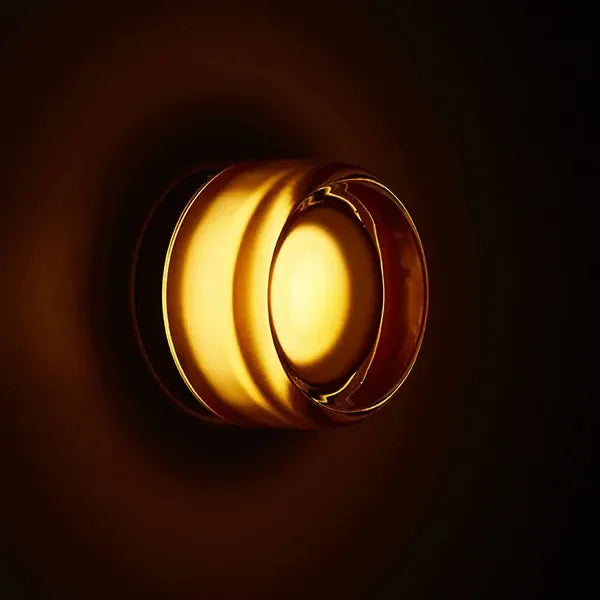 Verthara Premium Round LED Indoor-Outdoor Wall Sconce