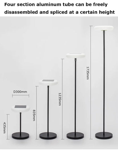 Verthara Premium Solar Cordless Outdoor Floor Lamp