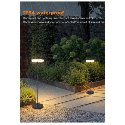 Verthara Premium Solar Cordless Outdoor Floor Lamp