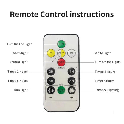 Verthara Premium Solar LED Post Light - Outdoor Column Fixture - IP65 Waterproof - Warm White - Stainless Steel and Acrylic - Stylish Garden Lights