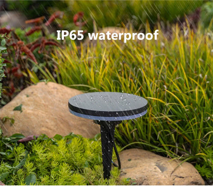 Verthara Premium Solar Pathway Garden Lights