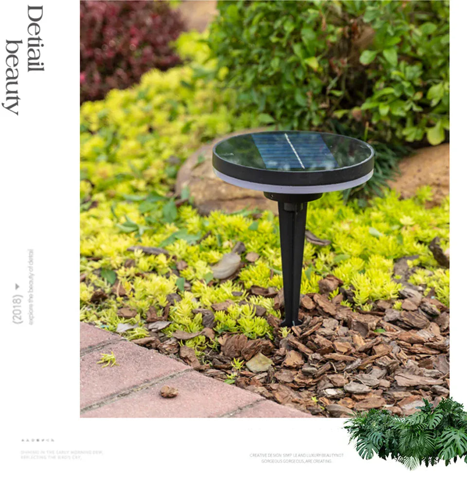 Verthara Premium Solar Pathway Garden Lights