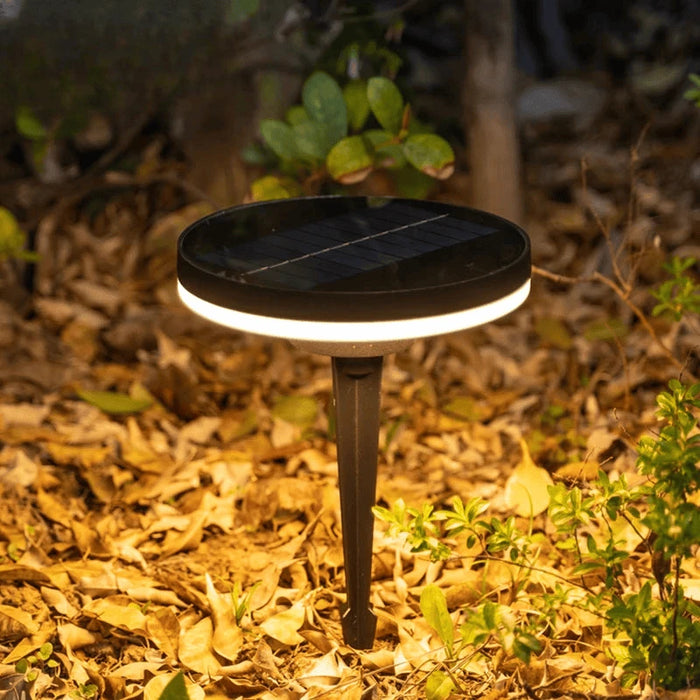 Verthara Premium Solar Pathway Garden Lights