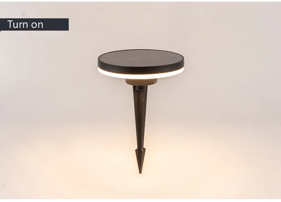 Verthara Premium Solar Pathway Garden Lights