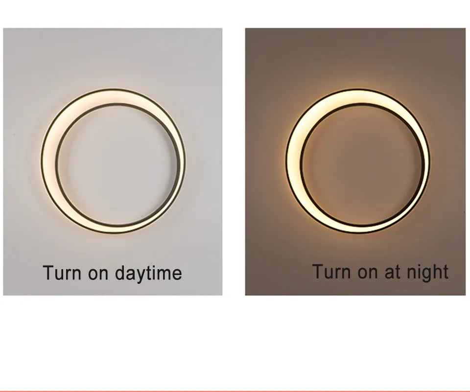 Verthara Premium Stainless Steel Round Moon Outdoor Wall Light IP65