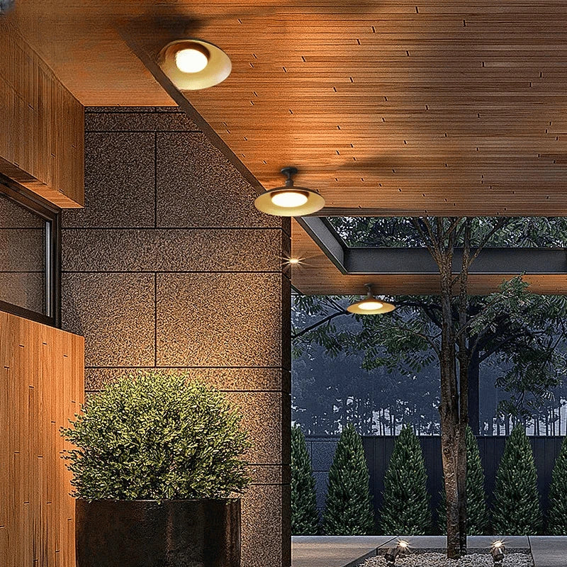 Verthara Premium Vintage Industrial Outdoor Ceiling Light