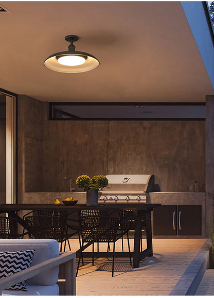 Verthara Premium Vintage Industrial Outdoor Ceiling Light