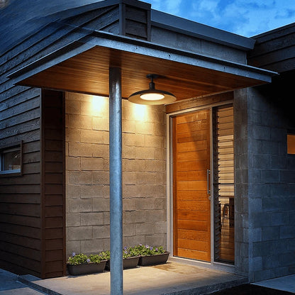 Verthara Premium Vintage Industrial Outdoor Ceiling Light