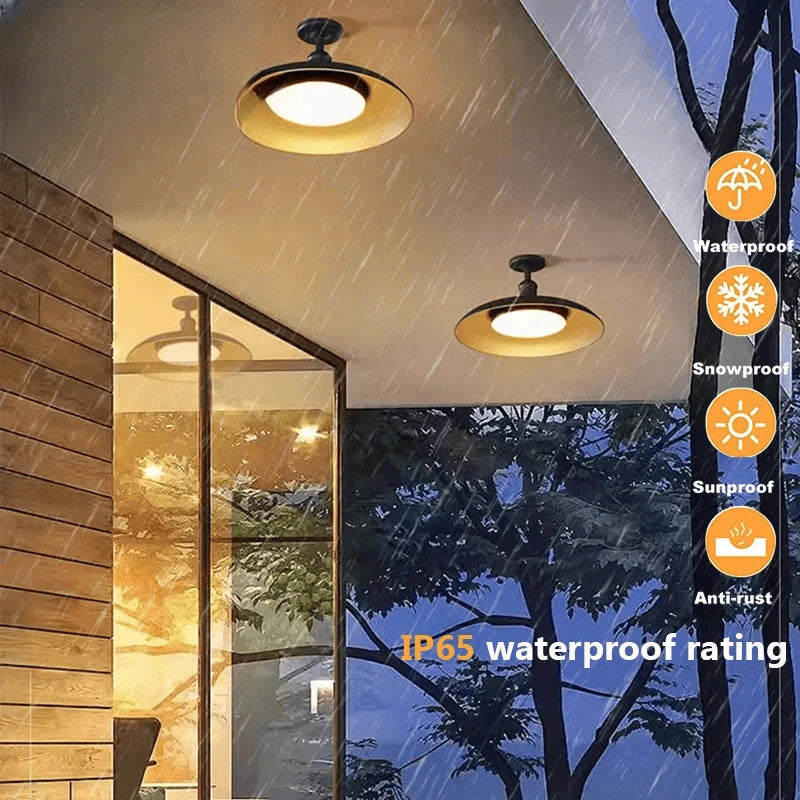Verthara Premium Vintage Industrial Outdoor Ceiling Light
