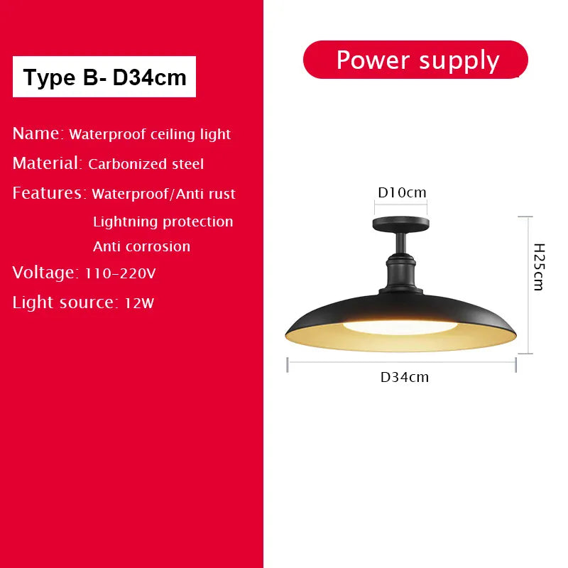Verthara Premium Vintage Industrial Outdoor Ceiling Light B D34cm / Cold White