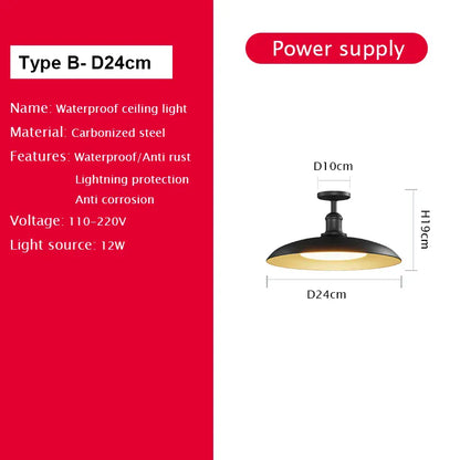 Verthara Premium Vintage Industrial Outdoor Ceiling Light B D24cm / Cold White