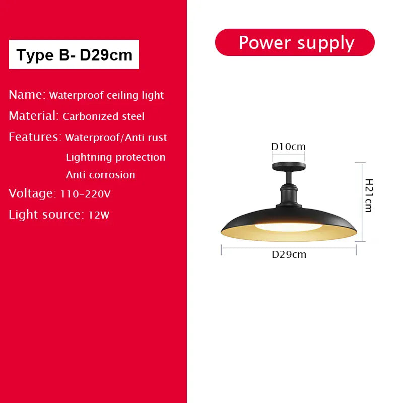 Verthara Premium Vintage Industrial Outdoor Ceiling Light B D29cm / Cold White
