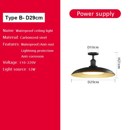Verthara Premium Vintage Industrial Outdoor Ceiling Light B D29cm / Cold White