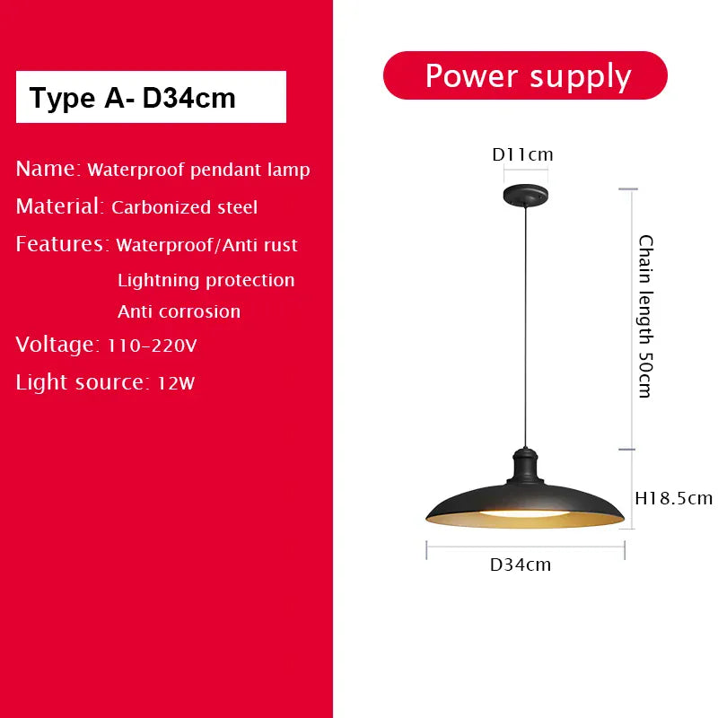 Verthara Premium Vintage Industrial Outdoor Ceiling Light A D34cm / Cold White