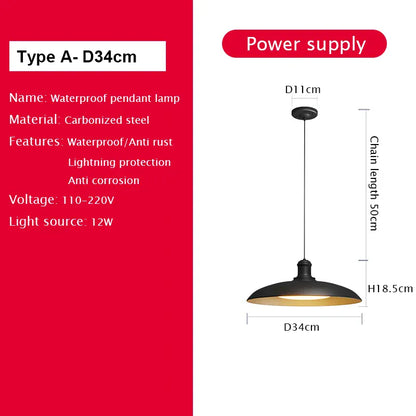 Verthara Premium Vintage Industrial Outdoor Ceiling Light A D34cm / Cold White