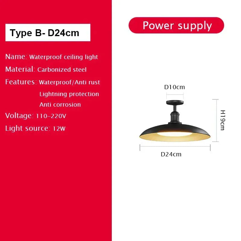 Verthara Premium Vintage Industrial Outdoor Ceiling Light