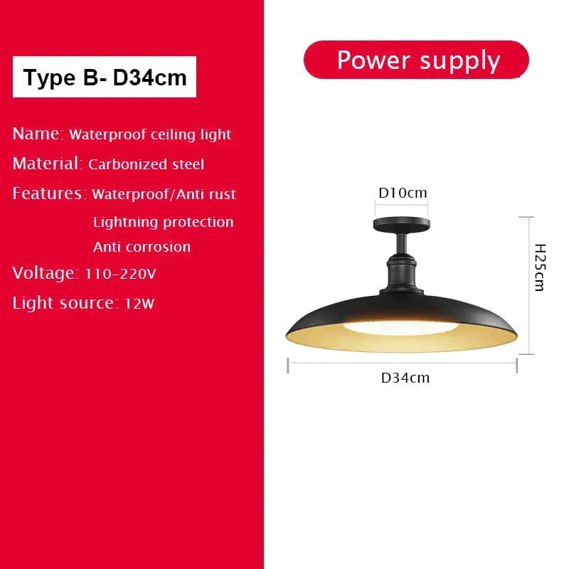Verthara Premium Vintage Industrial Outdoor Ceiling Light
