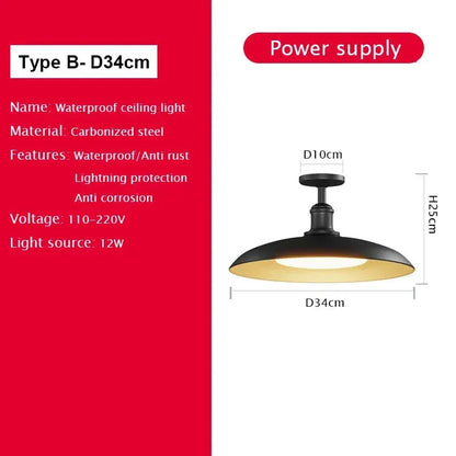 Verthara Premium Vintage Industrial Outdoor Ceiling Light