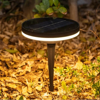 Verthara Solar Pathway Lights, Super Bright Waterproof Outdoor Garden Path Lights, Easy Installation Solar LED Landscape Lighting