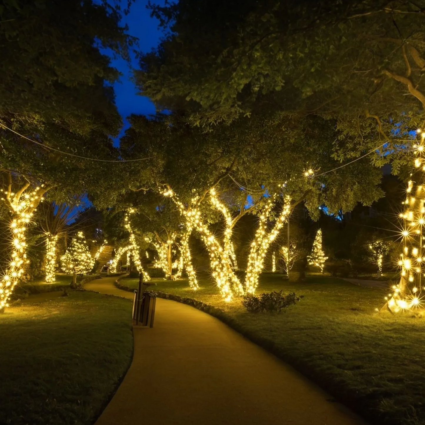 Solar String Fairy Lights - Waterproof LED Lights - Eco-Friendly Solar Powered - Multiple Lengths & Colors - Ideal for Gardens, Patios, and Celebrations